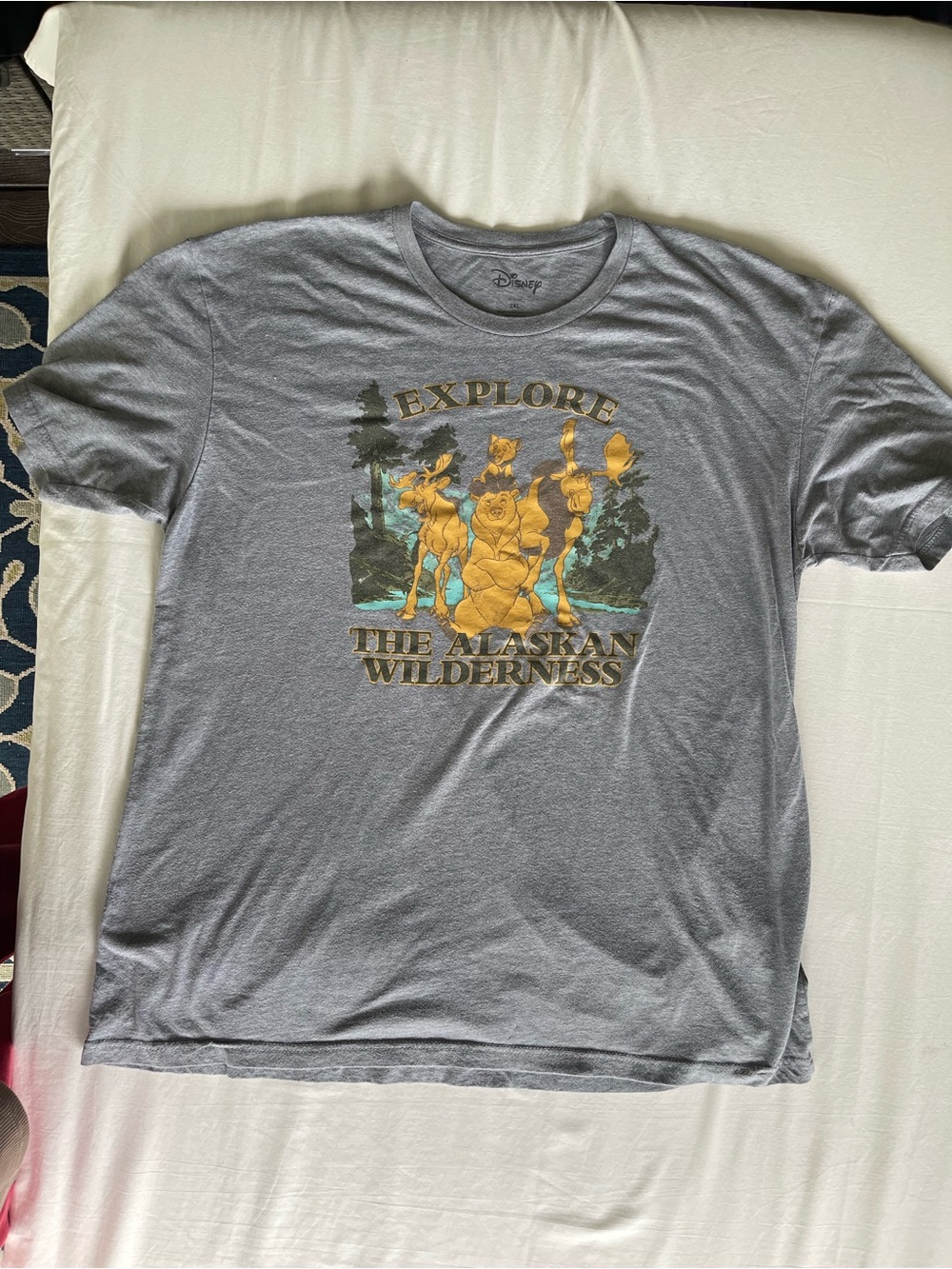 Disney Men’s Gray Graphic 'Explore The Alaskan Wilderness' Tee